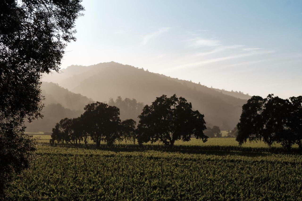 The Setting Inn Napa Valley Exterior photo