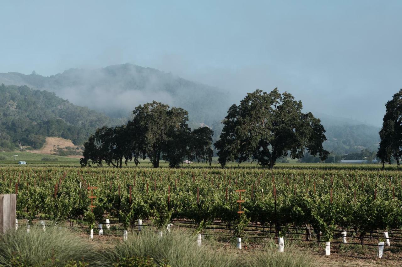 The Setting Inn Napa Valley Exterior photo